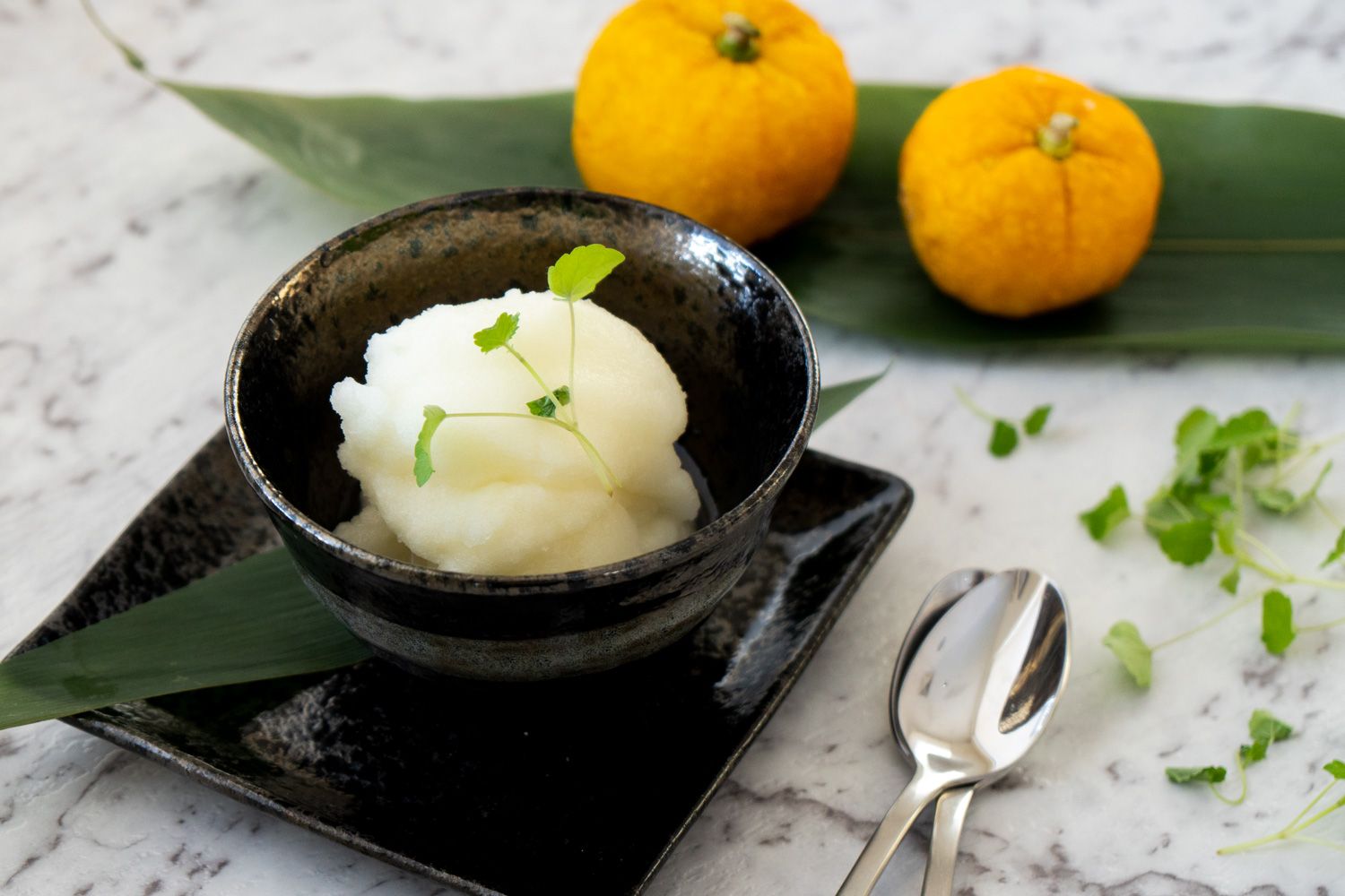 japanese-sorbet-recipe
